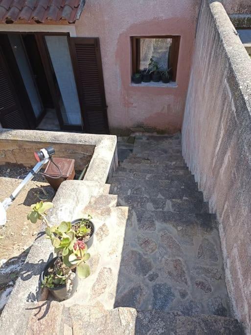 La Dolce Dimora Apartment Olbia Exterior photo